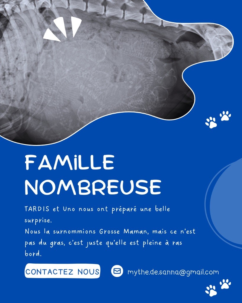 Des bébés très bientôt